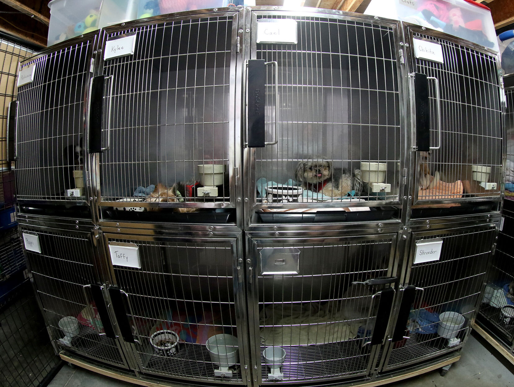 060518-qct-animal-sanctuary-007